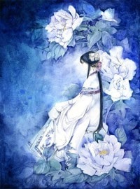 虛擬性域:幻影世界