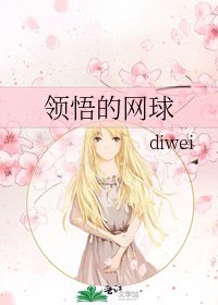 领悟的网球