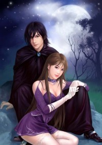 你看见我的女主了么？[穿书]