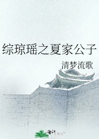 综琼瑶之夏家公子