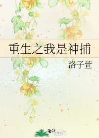 重生之我是神捕